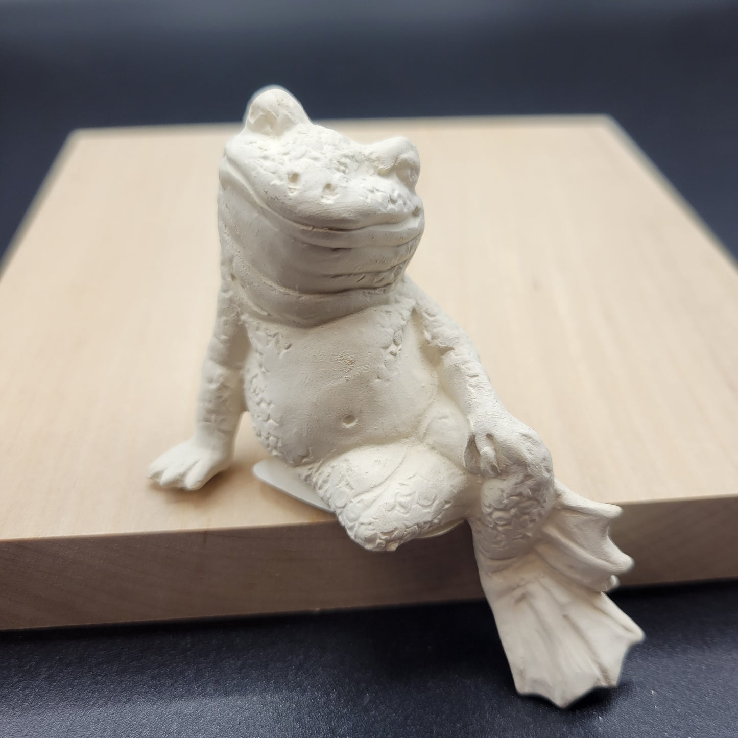 2778 Frog laying