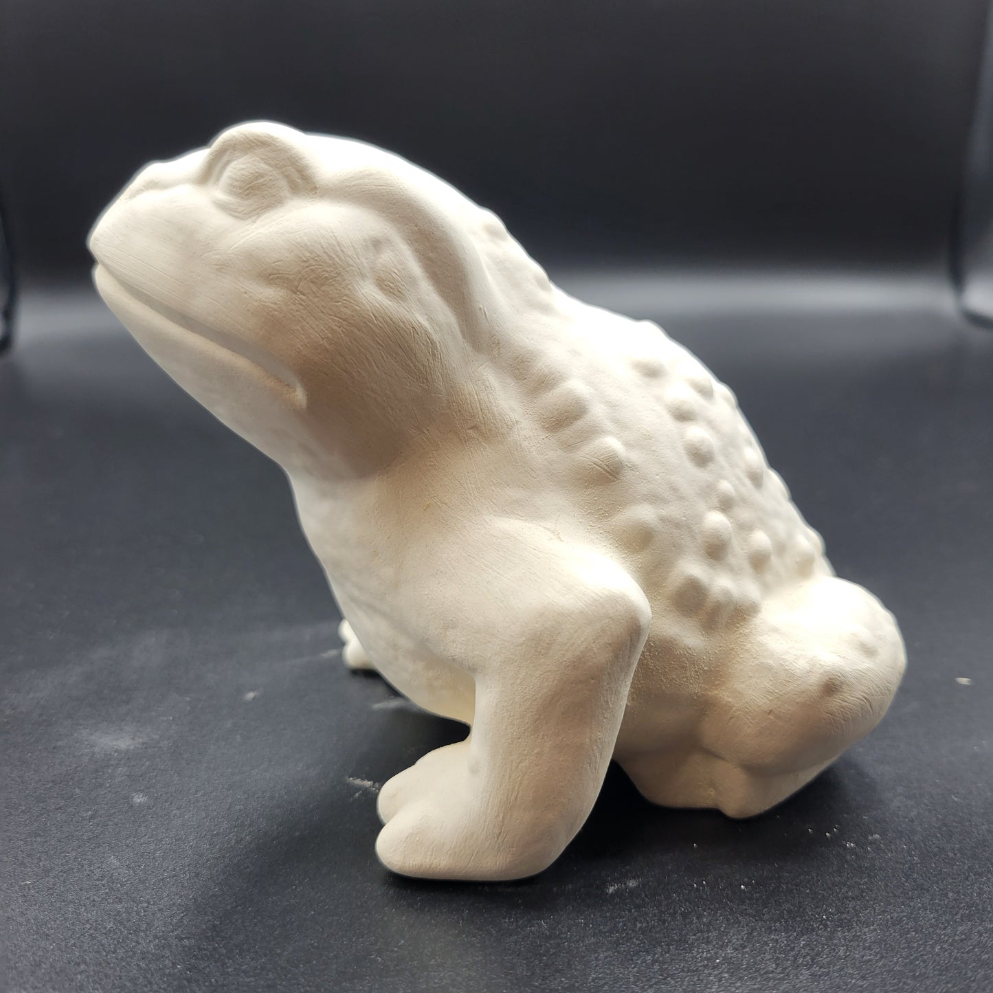 1004 frog lrg