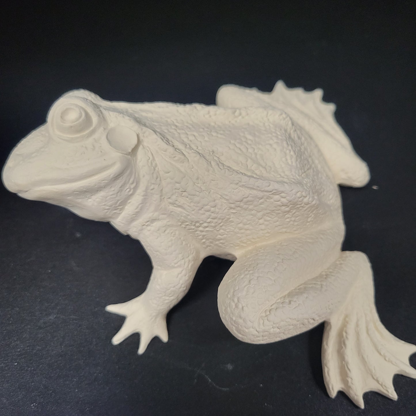 2904 waterfrog