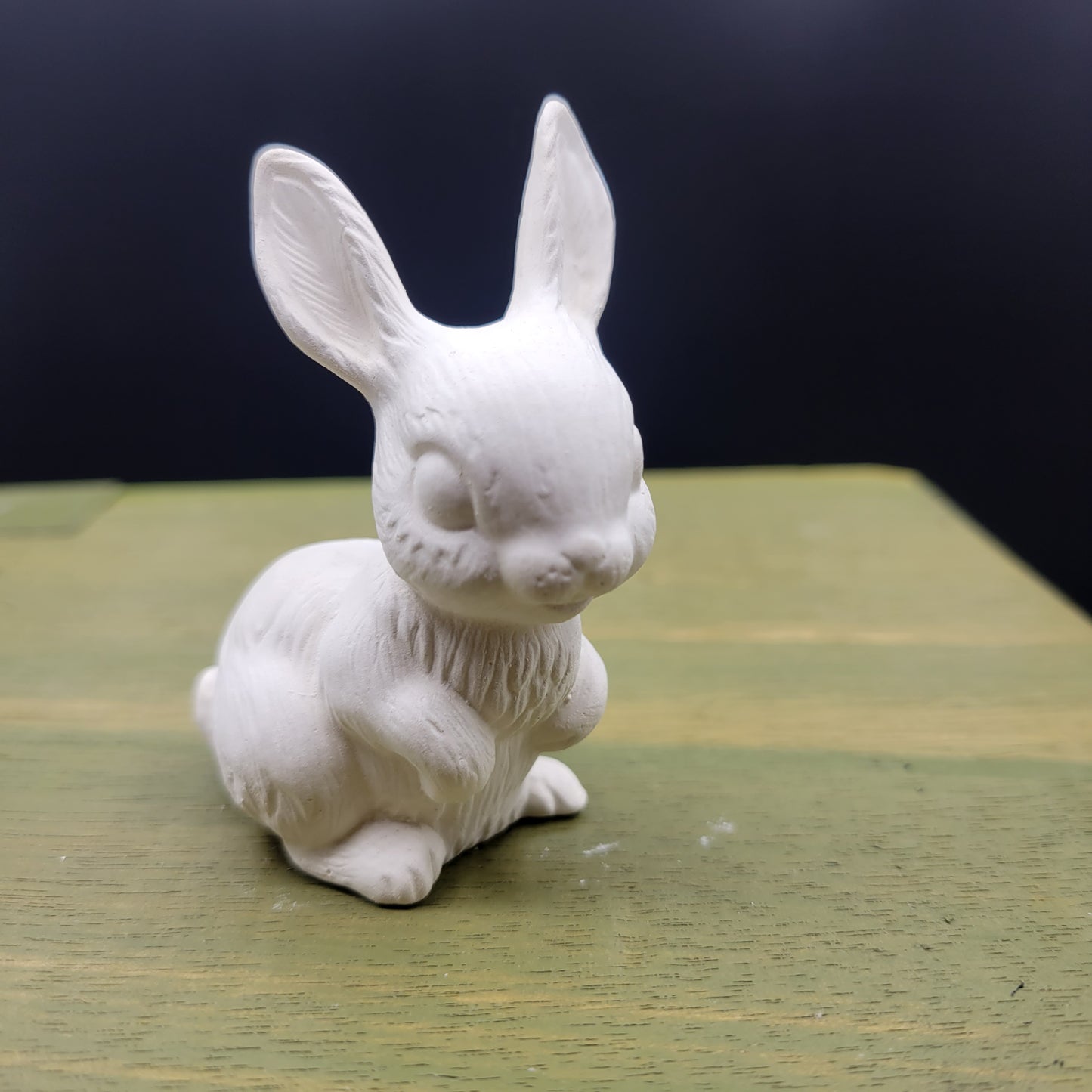 bunny 142