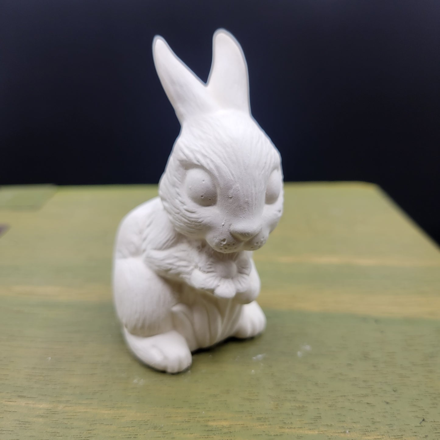 bunny 142