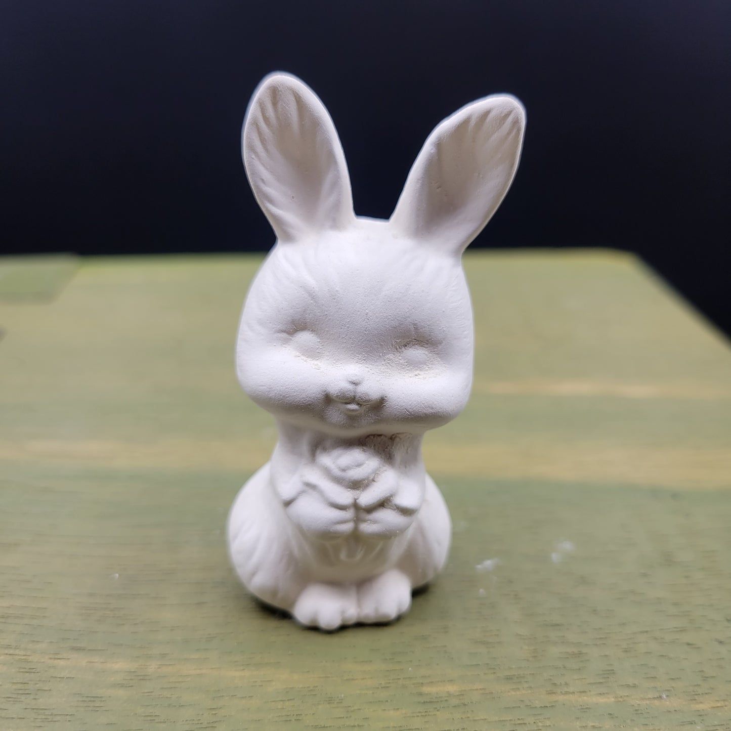 sitbunny 204