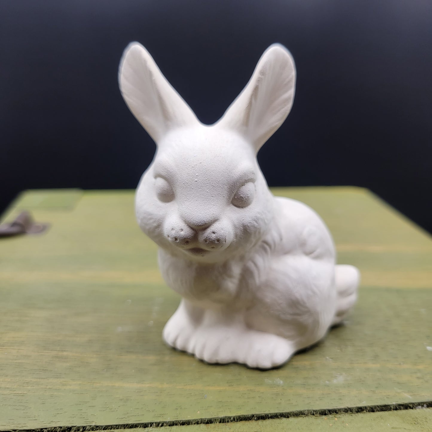 306 bunny
