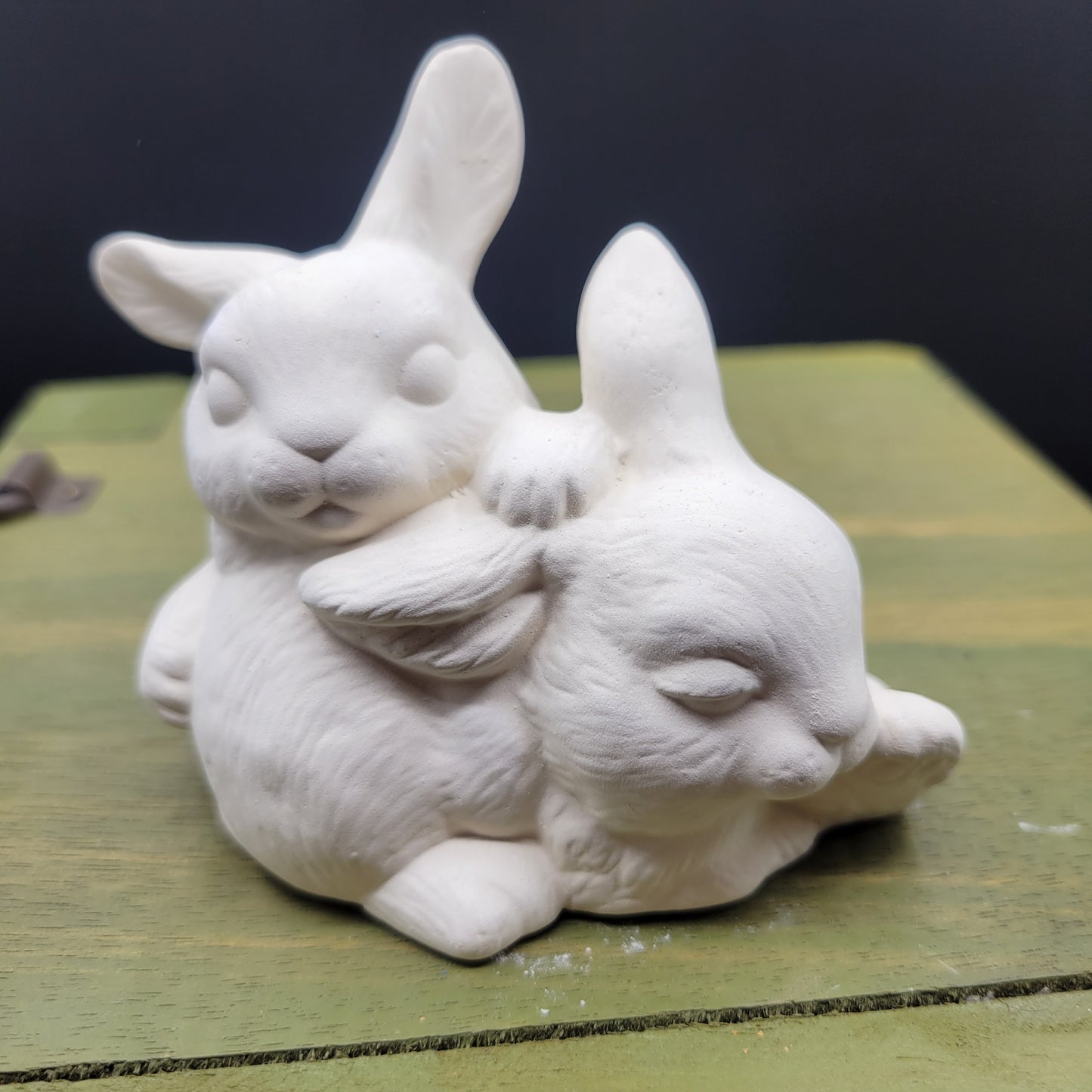 rabbits 424