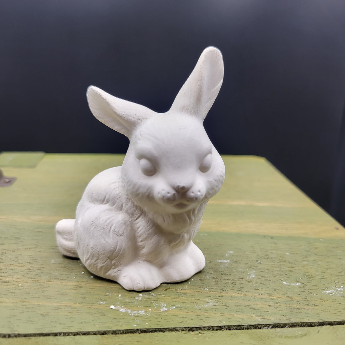 306 bunny