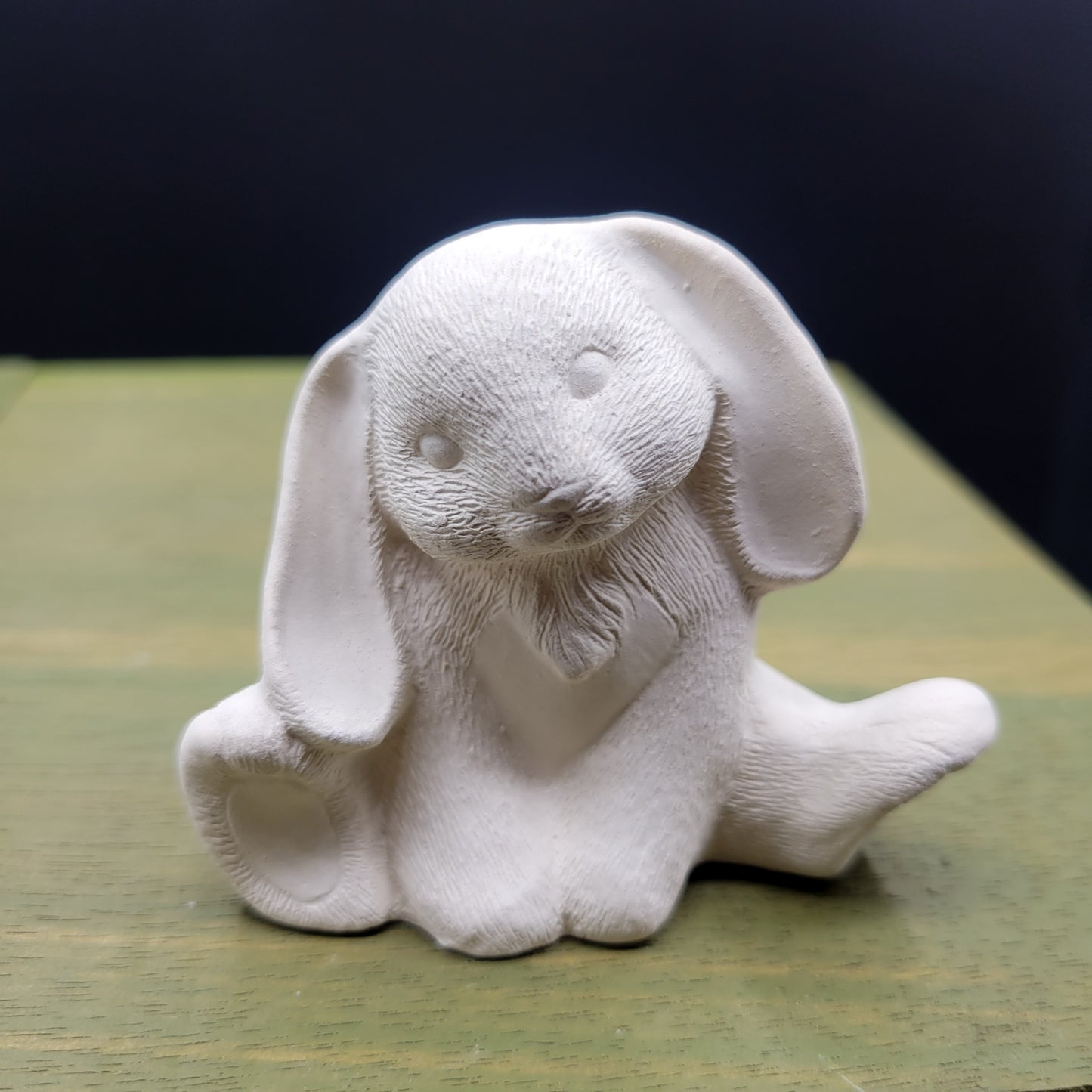 bunny 2378