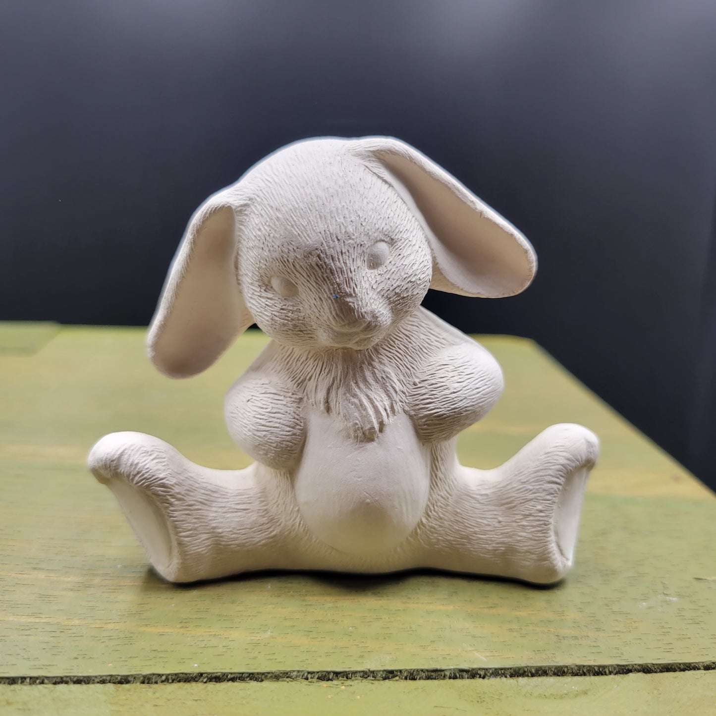 bunnynm 2376