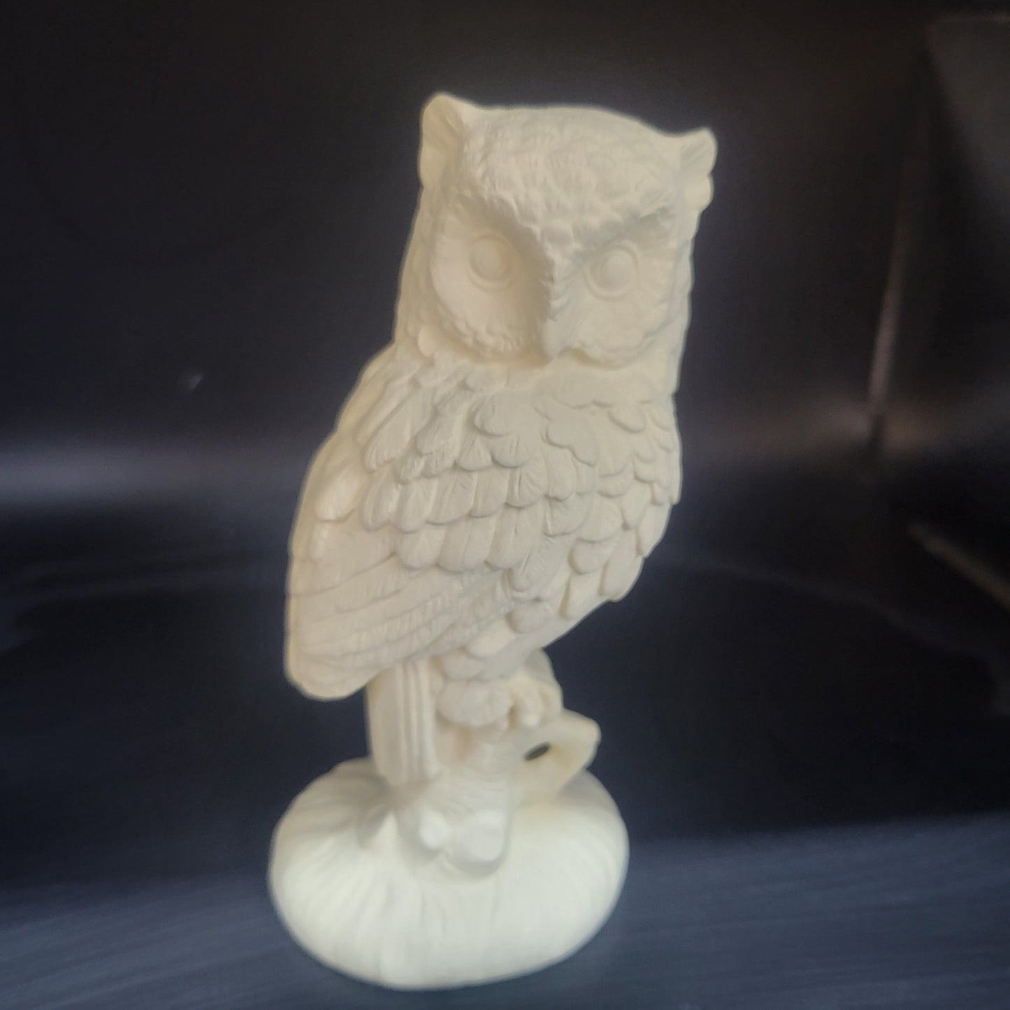 32 Owl Standing