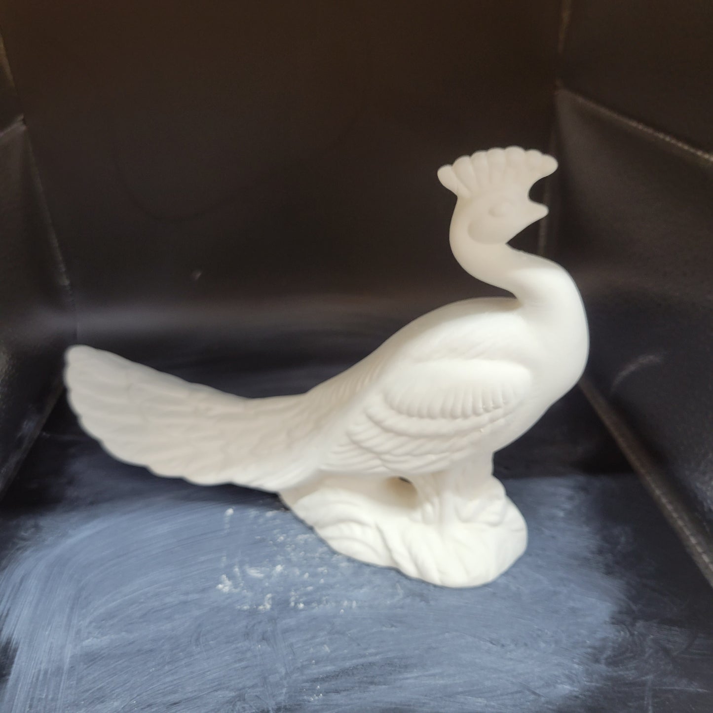 51 Peacock