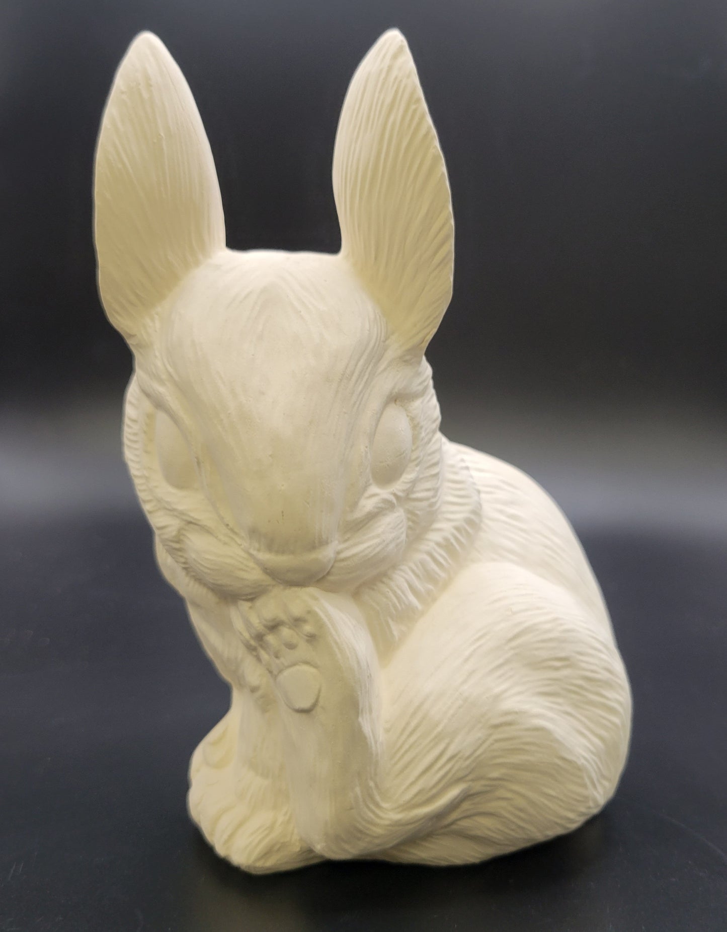 911 real bunny