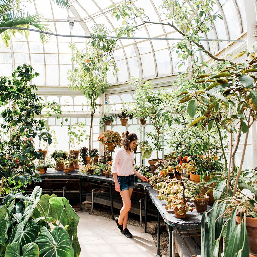 Greenhouse