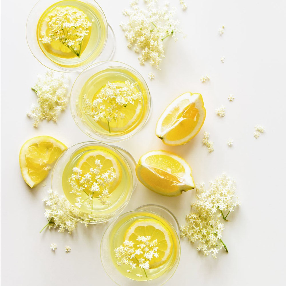 Lily Lemondrop