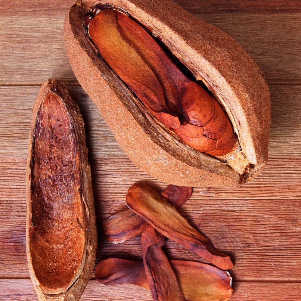 Spiced Mahogany