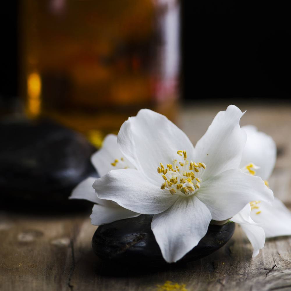 Black Jasmine