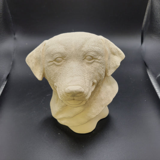 2942 Dog Bust