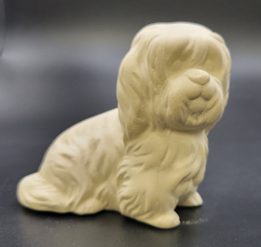 192 Shaggy Dog