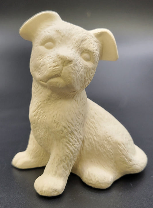 188 Puppy