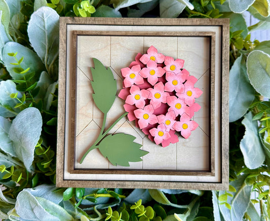 Hydrangea