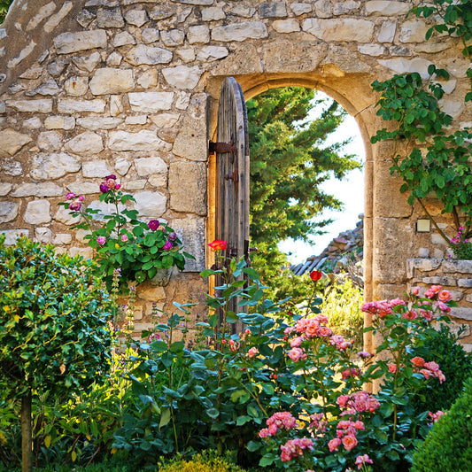 Secret Garden