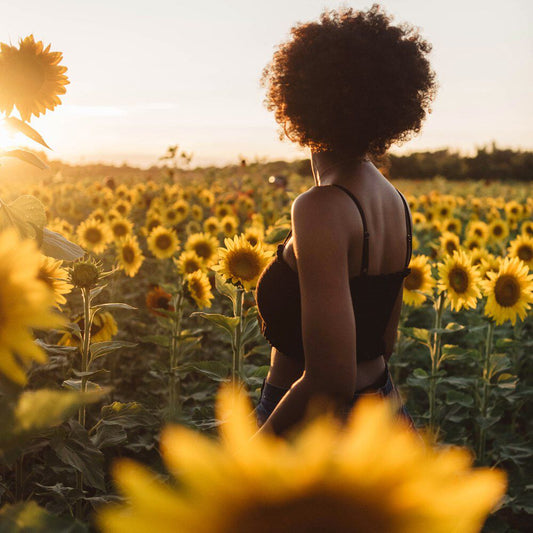 Sunflower Sandlewood