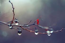 After The Rain